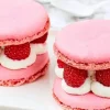Picard 2 macarons framboise* Macarons, Mignardises|Desserts Pâtissiers