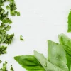 Picard Basilic coupé bio* Produits Nutri-Score A|Aides Culinaires