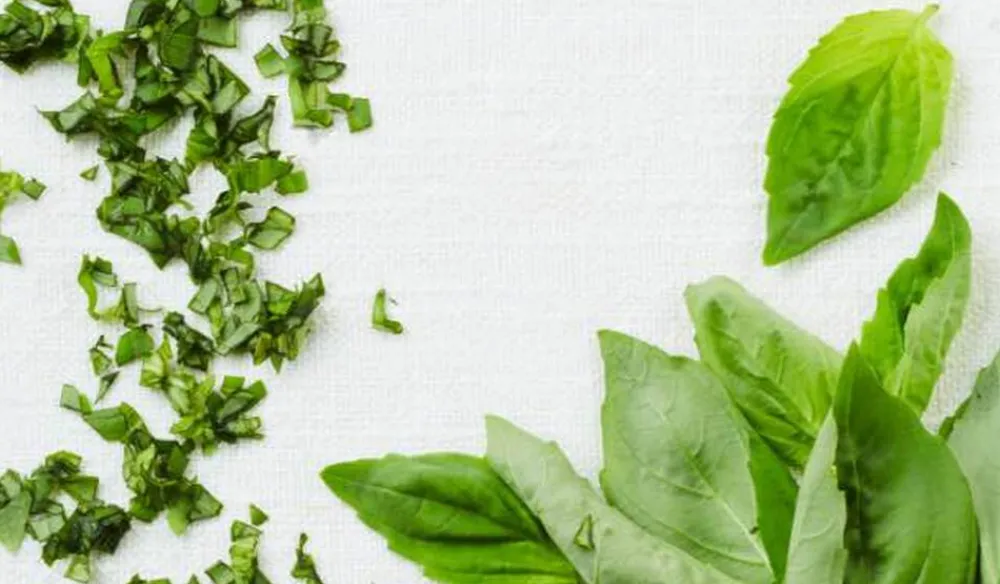 Picard Basilic coupé bio* Produits Nutri-Score A|Aides Culinaires