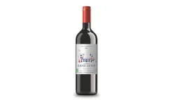 Picard Blaye Côtes de Bordeaux bio Château Mayne Guyon* Vins|Apéritifs Alcool