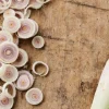Picard Citronnelle coupée* Produits Nutri-Score A|Aides Culinaires