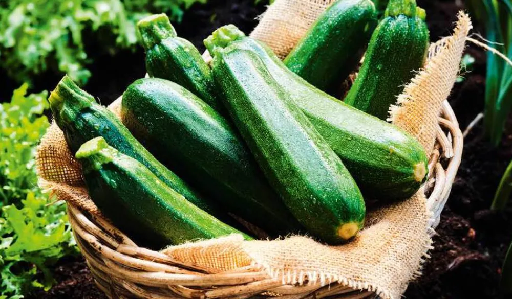 Picard Courgettes bio local* Produits Nutri-Score A|Légumes Bio