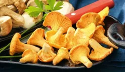 Picard Girolles* Produits Nutri-Score A|Champignons