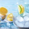 Picard Glaçons alimentaires* Glaçons Alimentaires|Glaçons