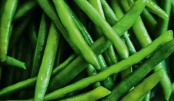 Picard Haricots verts extra-fins, France* Produits Nutri-Score A|Haricots