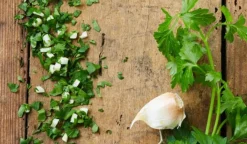 Picard Persillade, persil, ail* Produits Nutri-Score A|Aides Culinaires